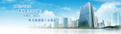 上海注冊分公司?所需要的材料